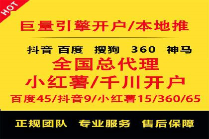 行业领先SEM服务公司案例研究